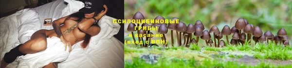 прущая мука Балахна