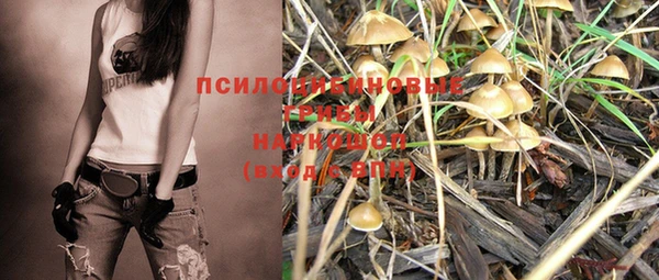 стафф Баксан