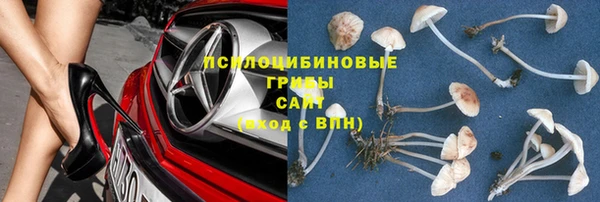 стафф Баксан