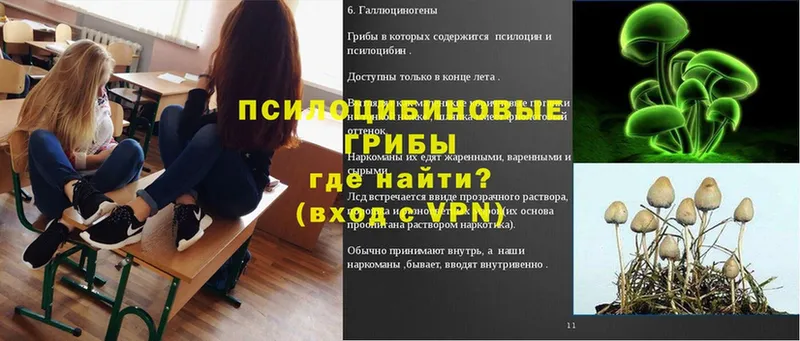 наркотики  Белый  Галлюциногенные грибы мухоморы 